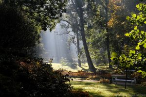 n2-jan-borowiec-fragrance-of-autumn-se-large